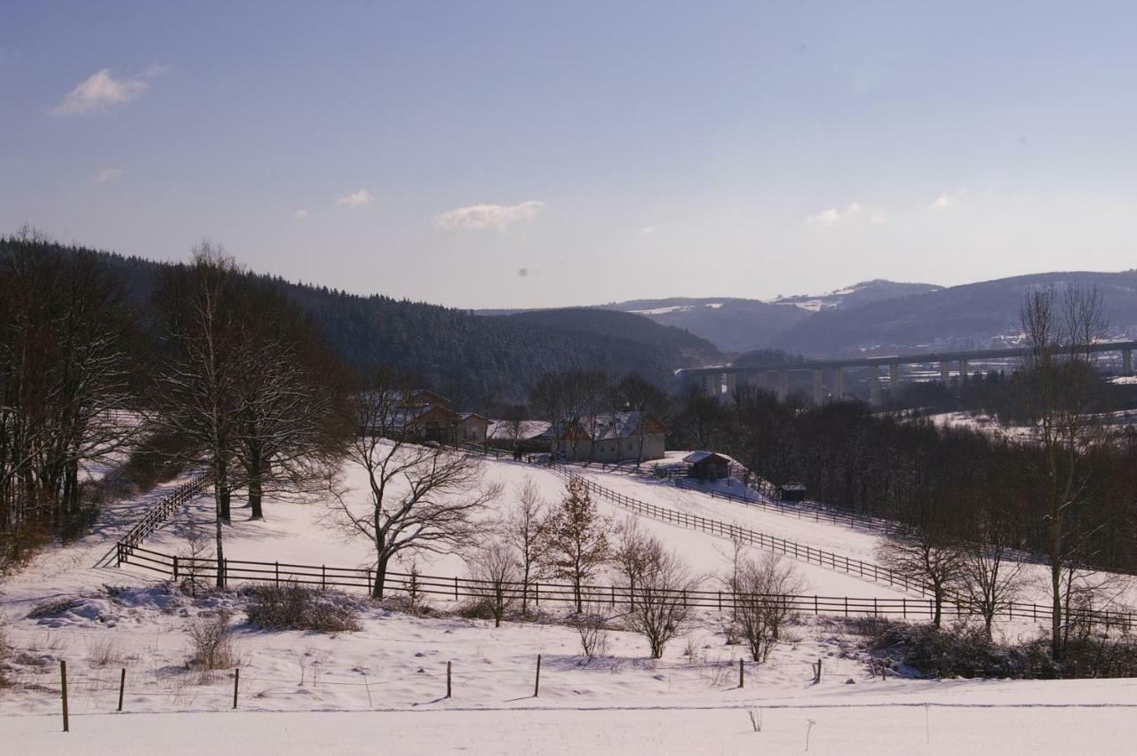Reiterhof Und Pension Eichenhof Haiger Zewnętrze zdjęcie